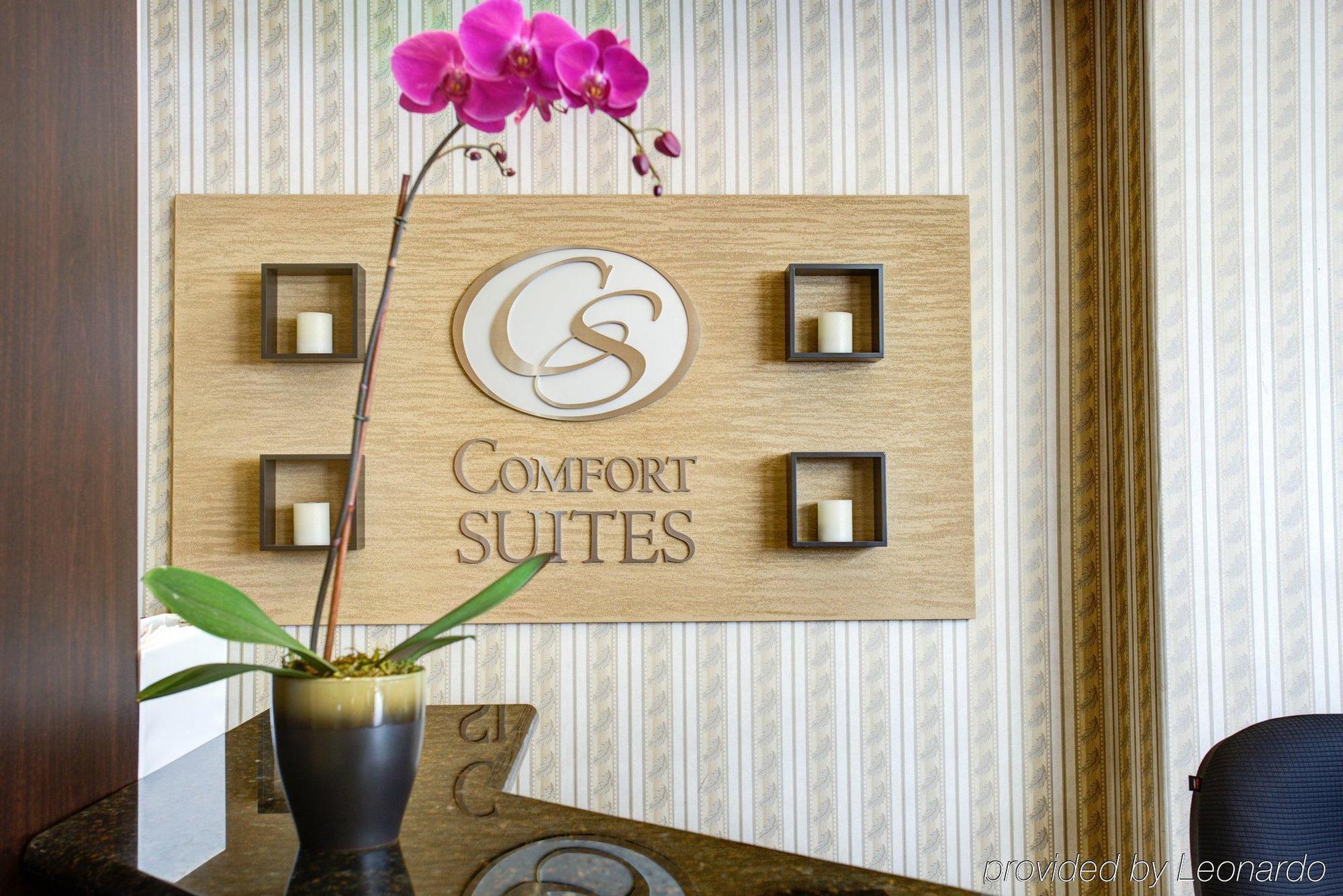 Comfort Suites San Jose Airport Экстерьер фото